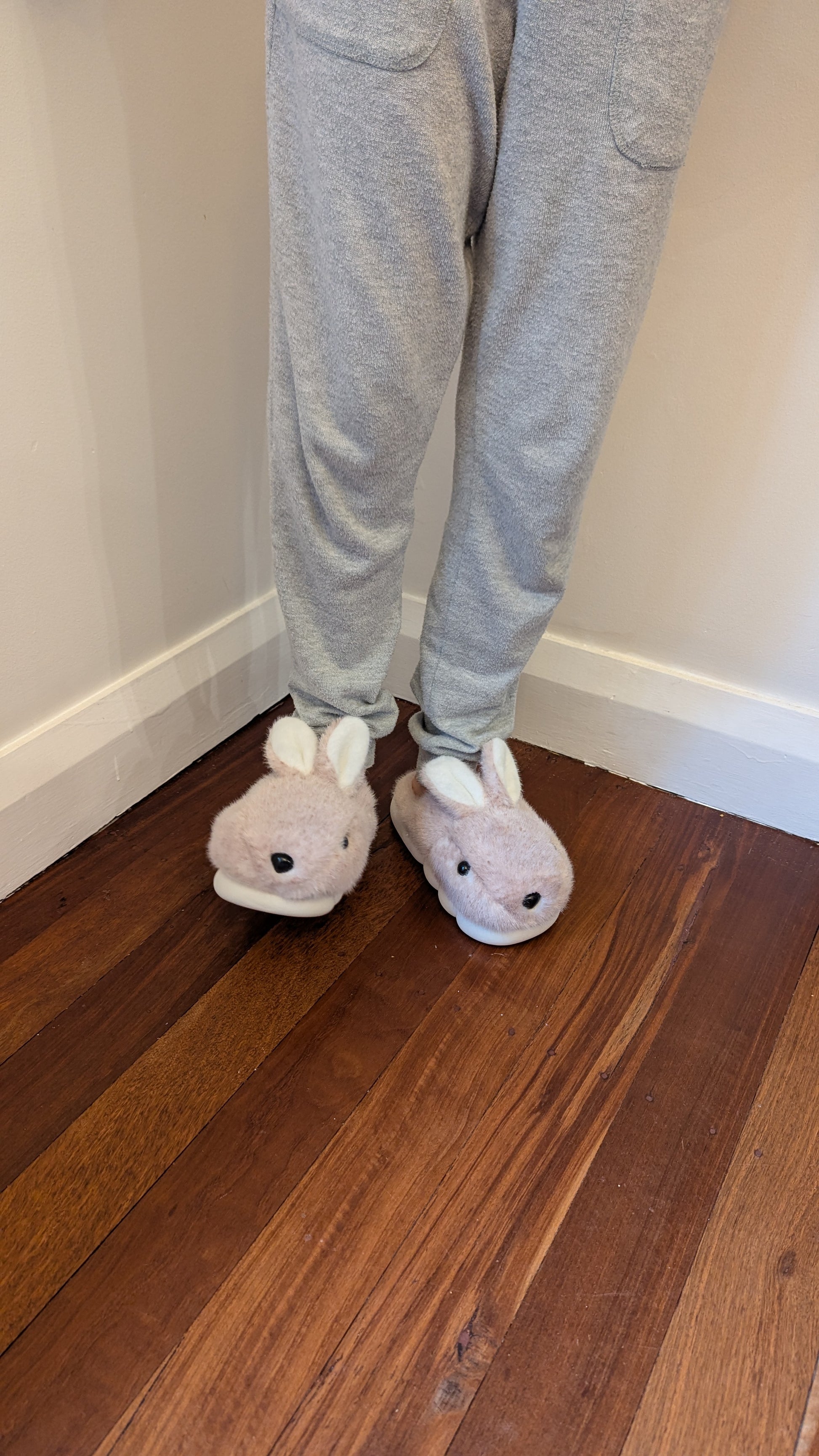 Bouncy Bunny