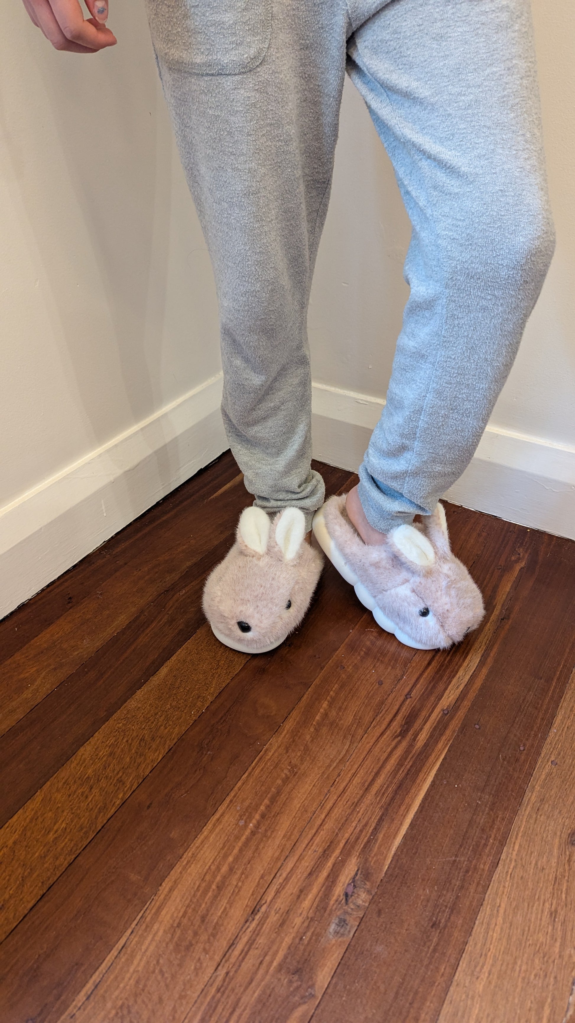 Bouncy Bunny