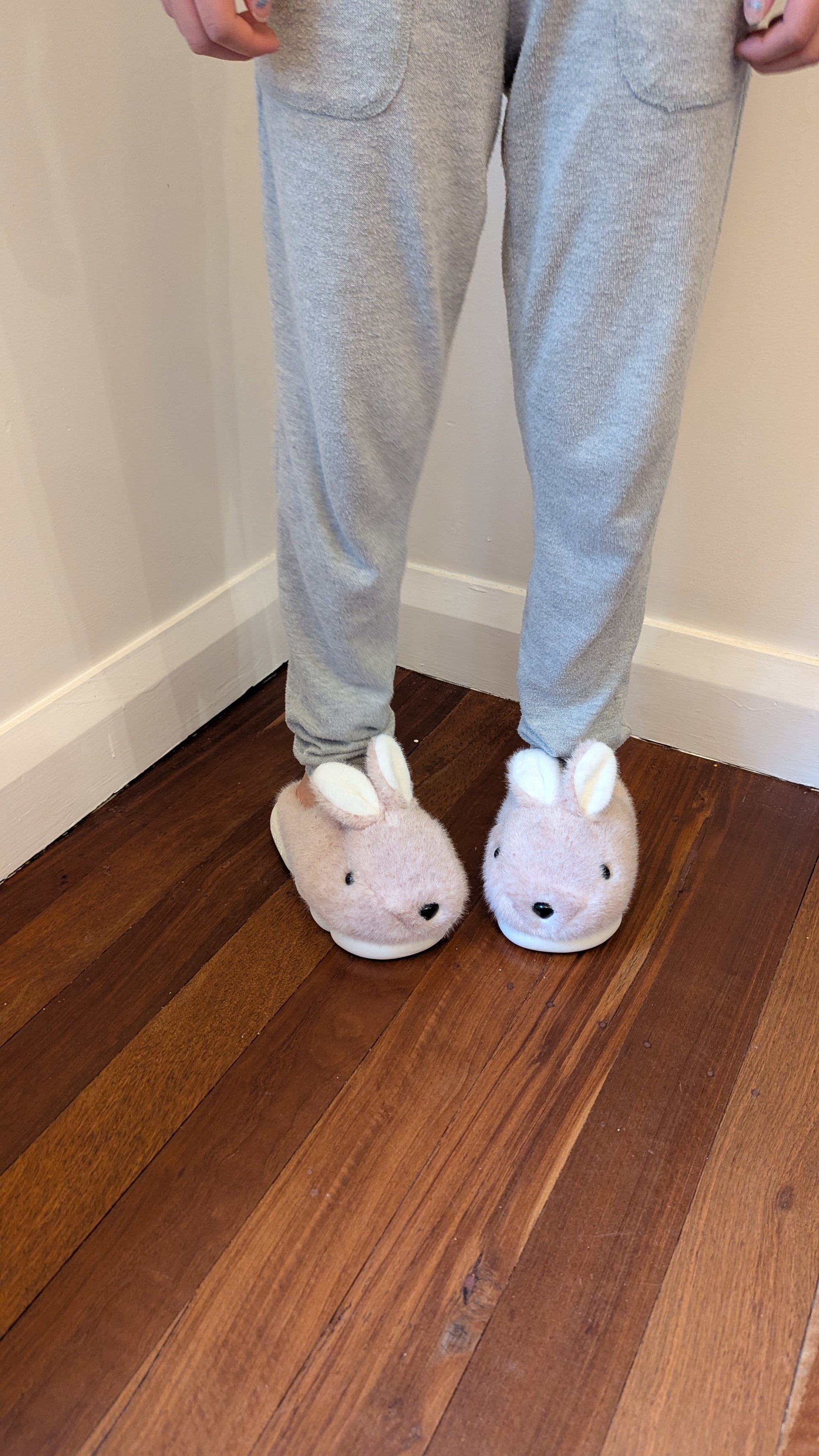 Bouncy Bunny